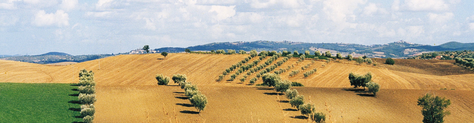 Saturnia